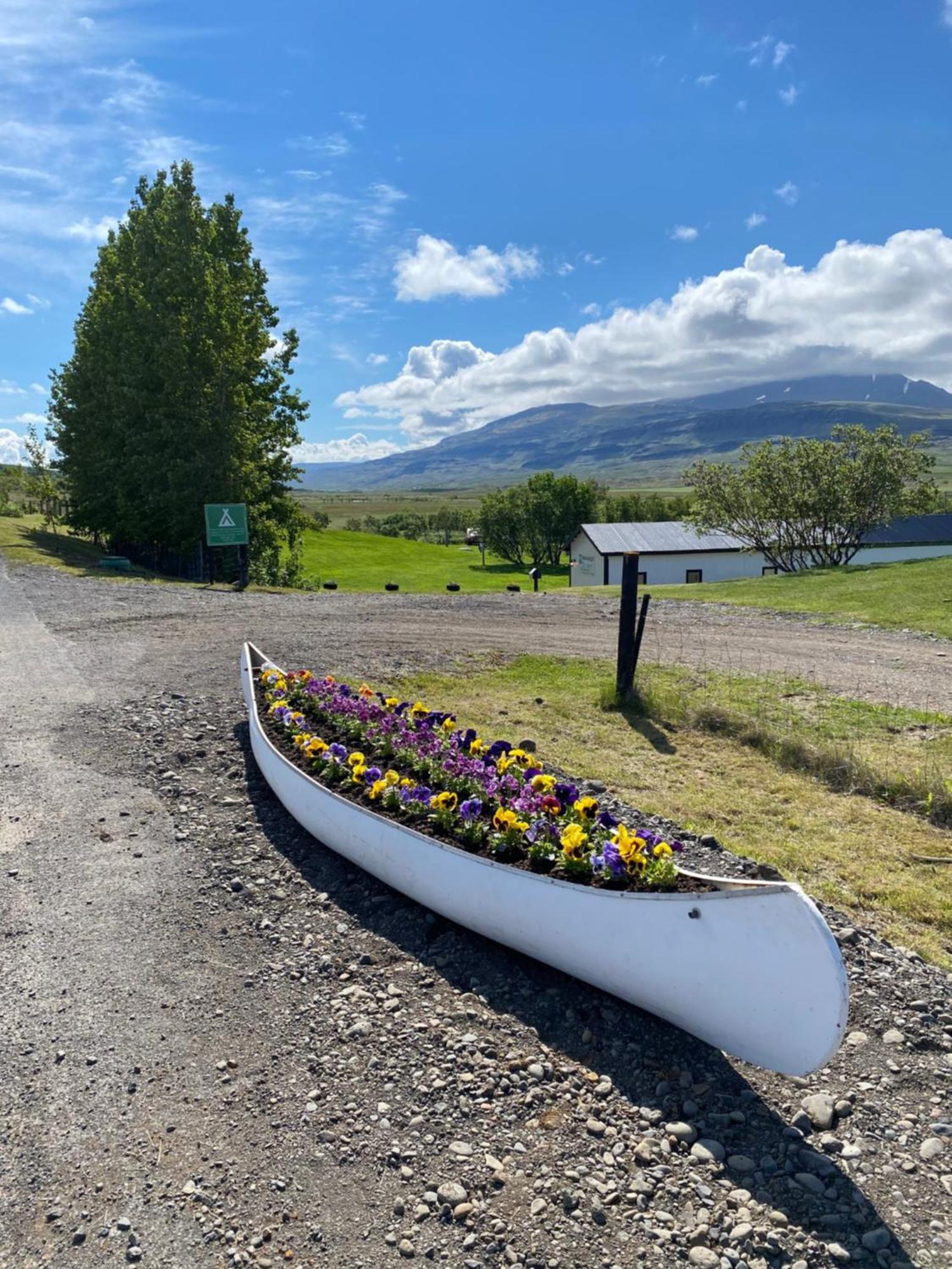 Bakkafloet Guesthouse Varmahlid  Buitenkant foto